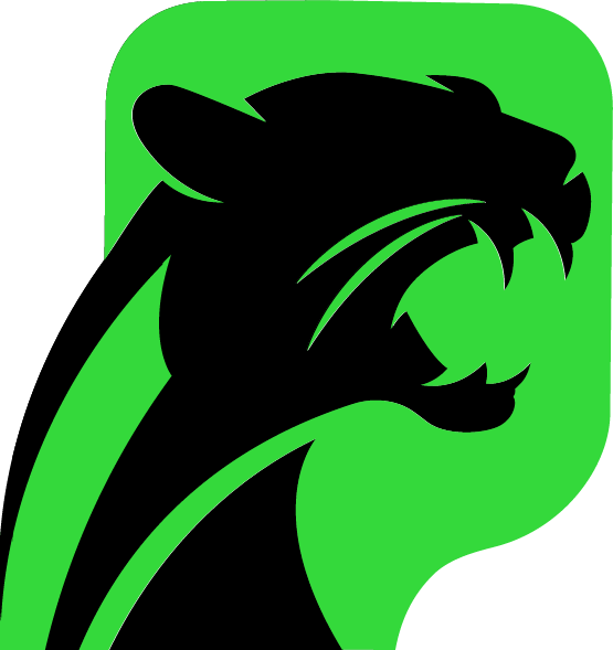 About Pickleball Panther about-pickleball-panther